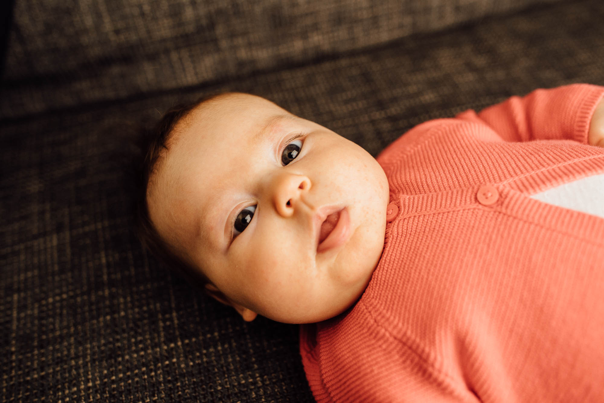 Export x3 5D4 0439 Familyfotoshooting 2020 Rossbach